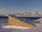 Forest tree seeds added to 'doomsday' vault