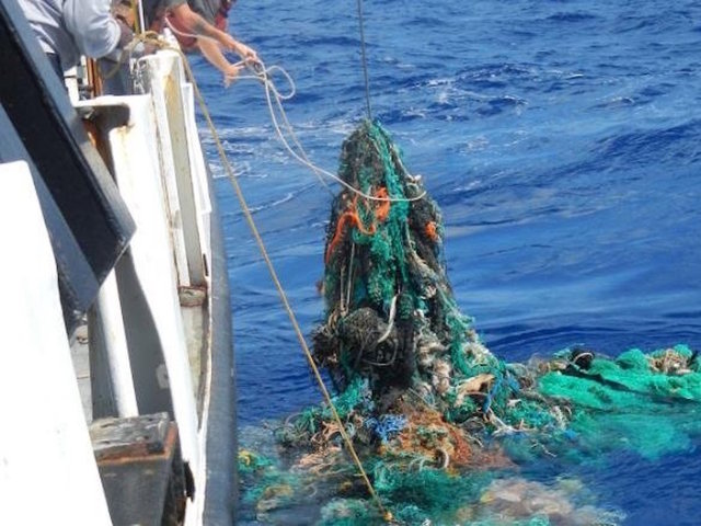Great Pacific Garbage Patch now three times the size of France