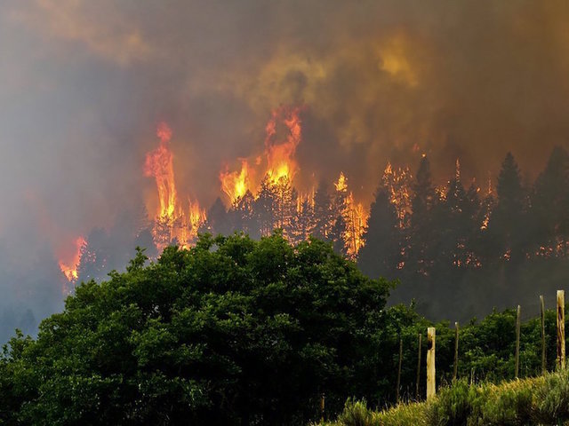 Wildfires: Thousands of acres ablaze in California, Colorado and New Mexico