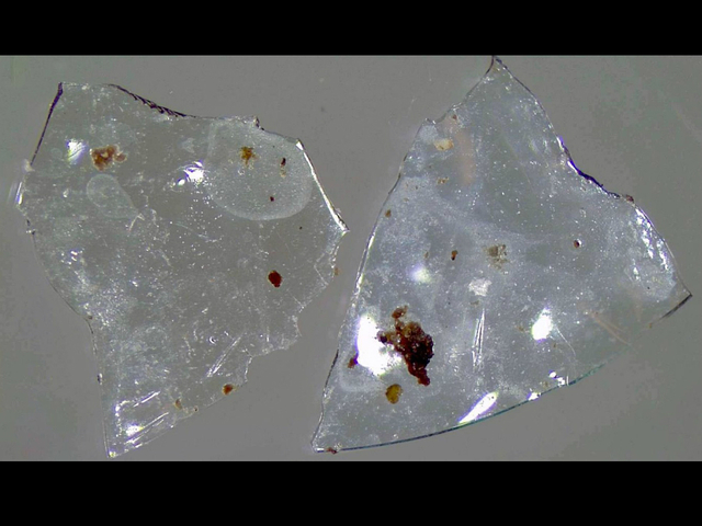 Do you flush your contact lenses? Here's why you should stop